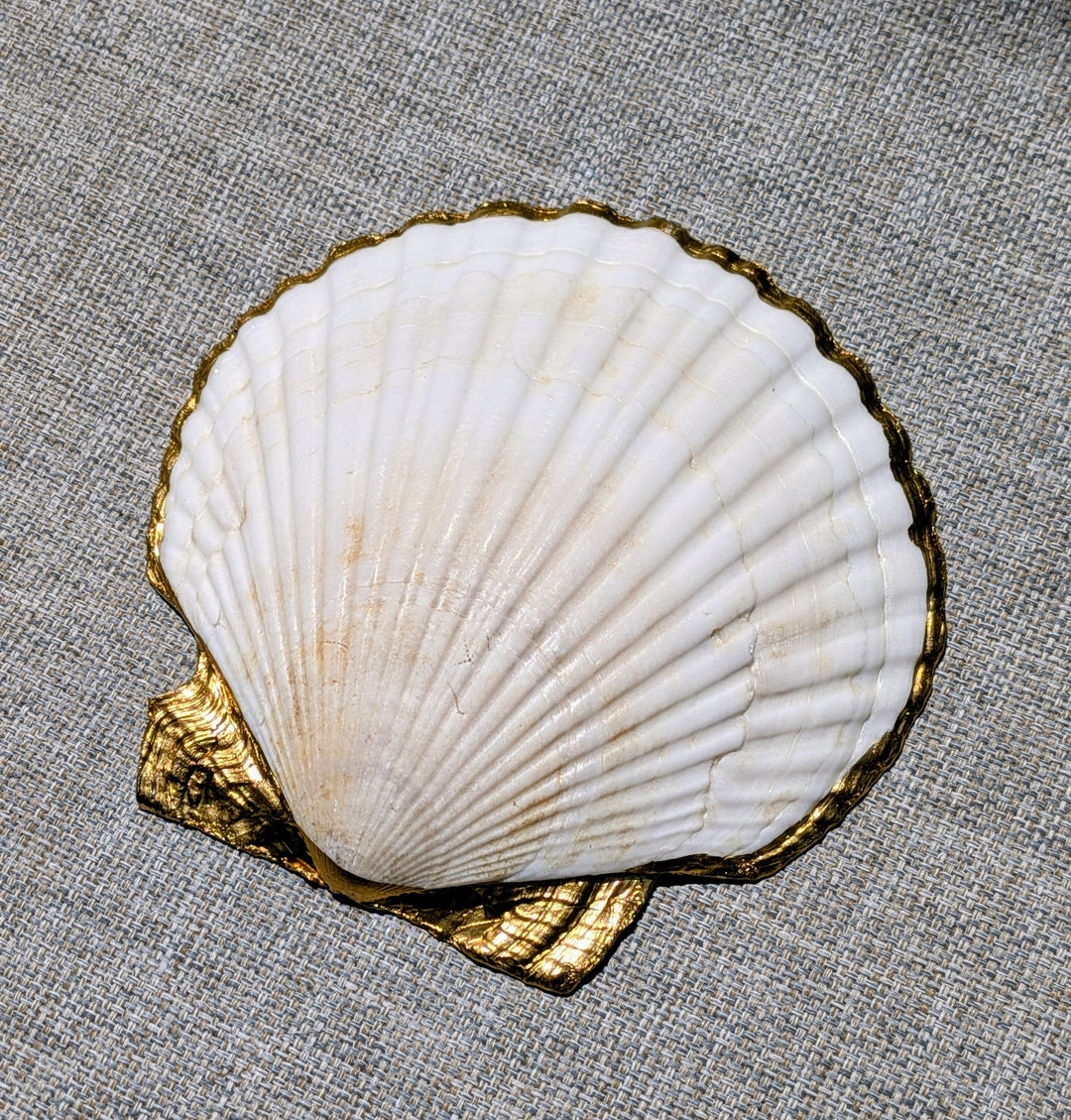 Pickleball Decoupage Scallop Shell