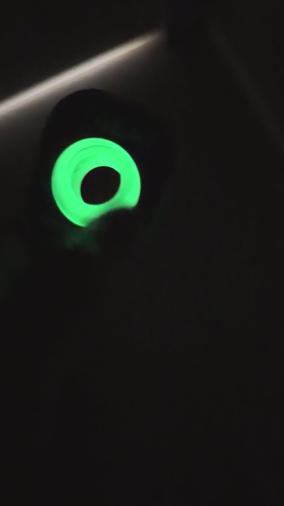 Pickle for Good Fidget Keychain — First Drop (Free Shipping!)